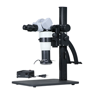 Stereo Microscope